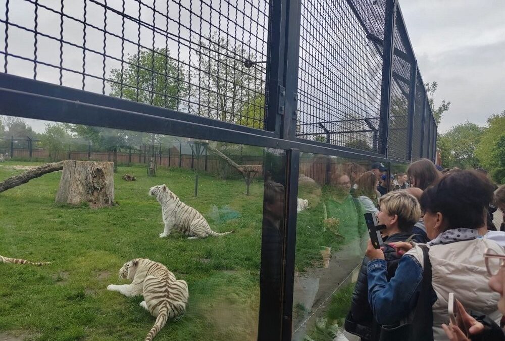 ZOO Borysew